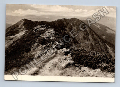 Pohlednice Krkonoše Kozí hřbety 1424 m n m 1959 (M38924)