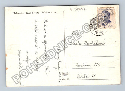 Pohlednice Krkonoše Kozí hřbety 1424 m n m 1959 (M38924)