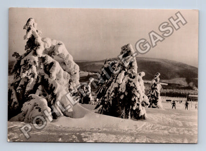 Pohlednice Krkonoše Pec pod Sněžkou lyžařský sjezd (M38973)