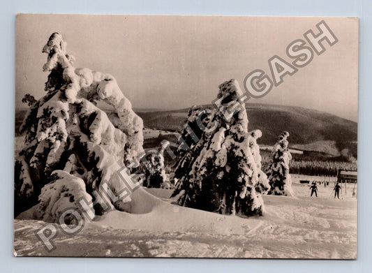 Pohlednice Krkonoše Pec pod Sněžkou lyžařský sjezd (M38973)