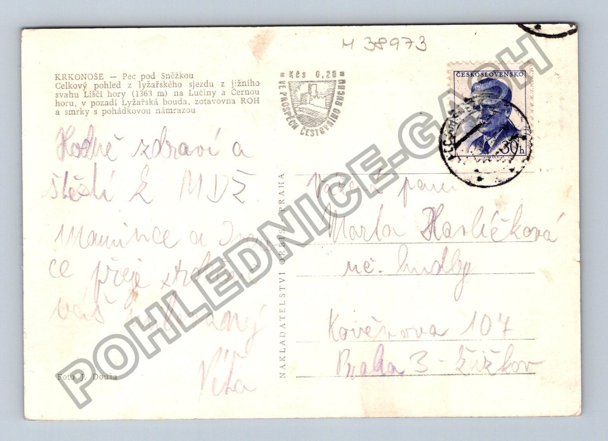 Pohlednice Krkonoše Pec pod Sněžkou lyžařský sjezd (M38973)