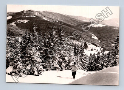 Pohlednice Krkonoše Harrachov lyžařské středisko (M38995)