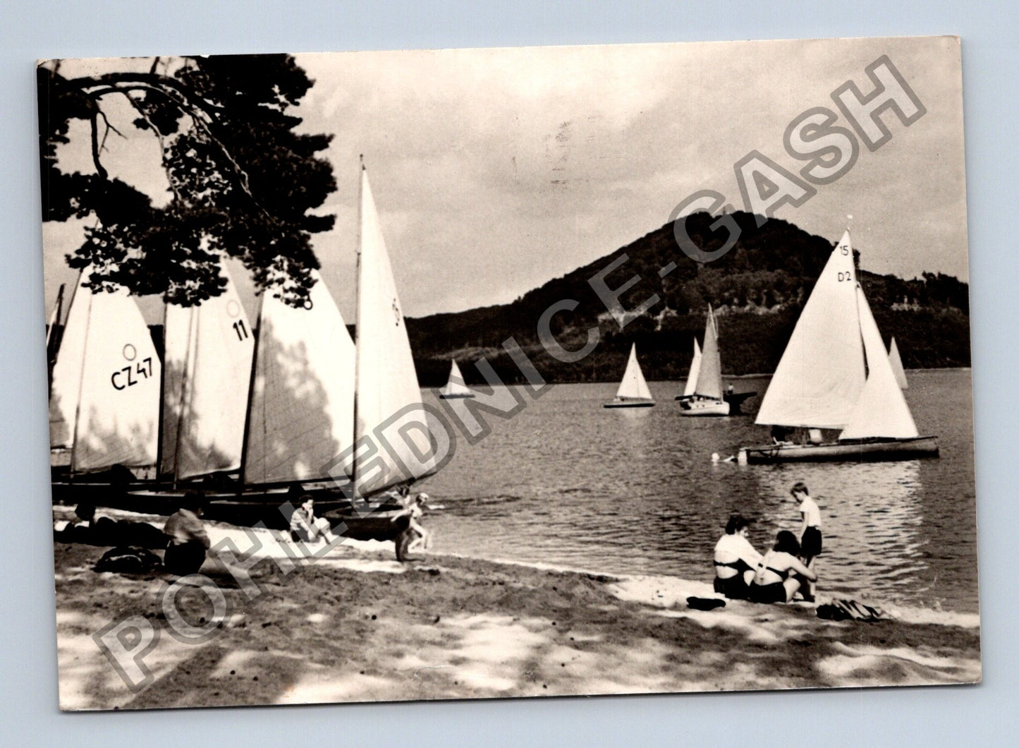 Pohlednice Máchovo jezero Pláž Starých Splavů 1947 (M39008)