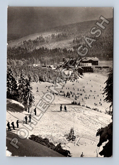 Pohlednice JESENÍKY Červenohorské sedlo lyžaři 1968 (M39009)