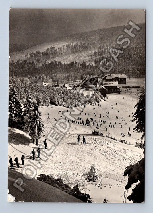 Pohlednice JESENÍKY Červenohorské sedlo lyžaři 1968 (M39009)