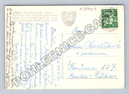 Pohlednice JESENÍKY Červenohorské sedlo lyžaři 1968 (M39009)
