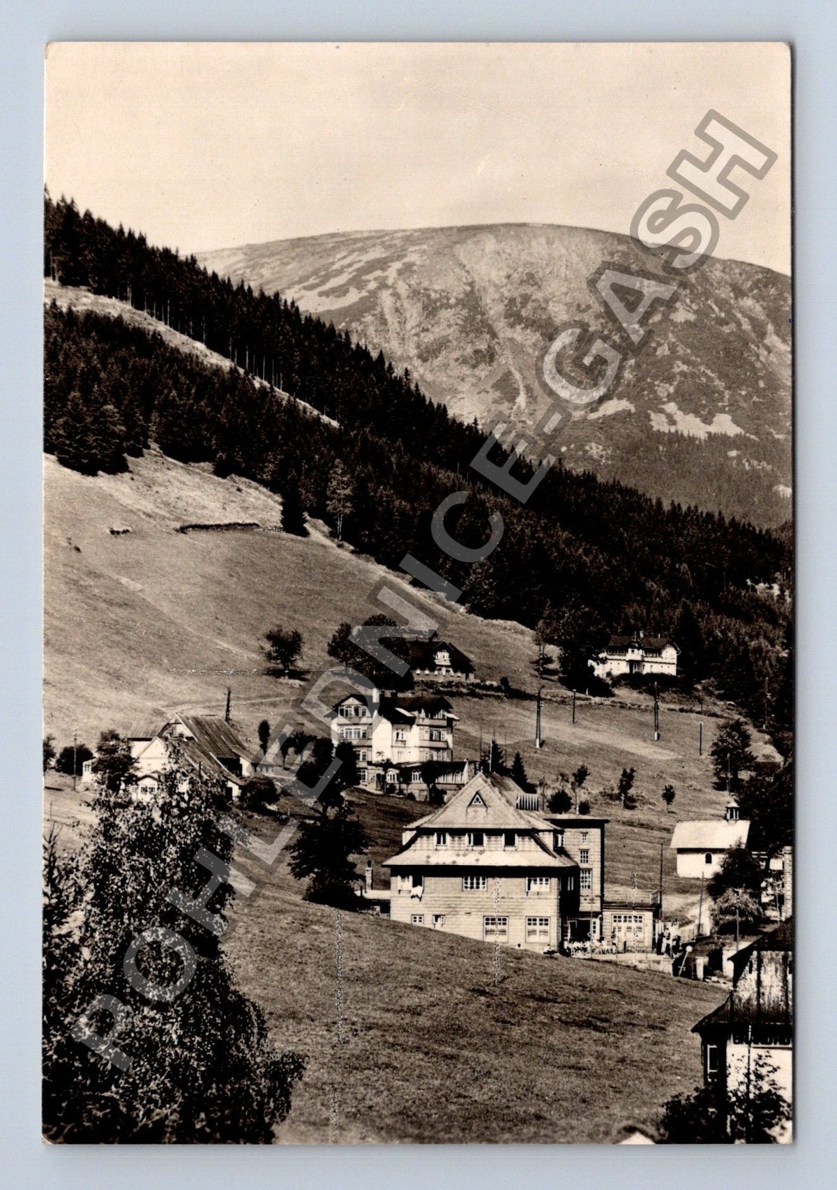 Pohlednice Krkonoše Pec pod Sněžkou Zotavovny ROH (M39014)