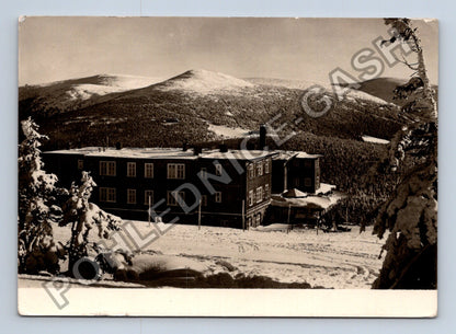Pohlednice Krkonoše Špindlerův Mlýn Petrova chata 1956 (M39016)