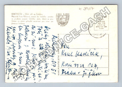 Pohlednice Krkonoše Obří důl Sněžka (M39017)