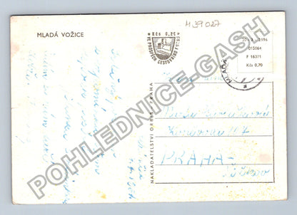 Pohlednice Mladá Vožice celkový pohled město rybník (M39027)