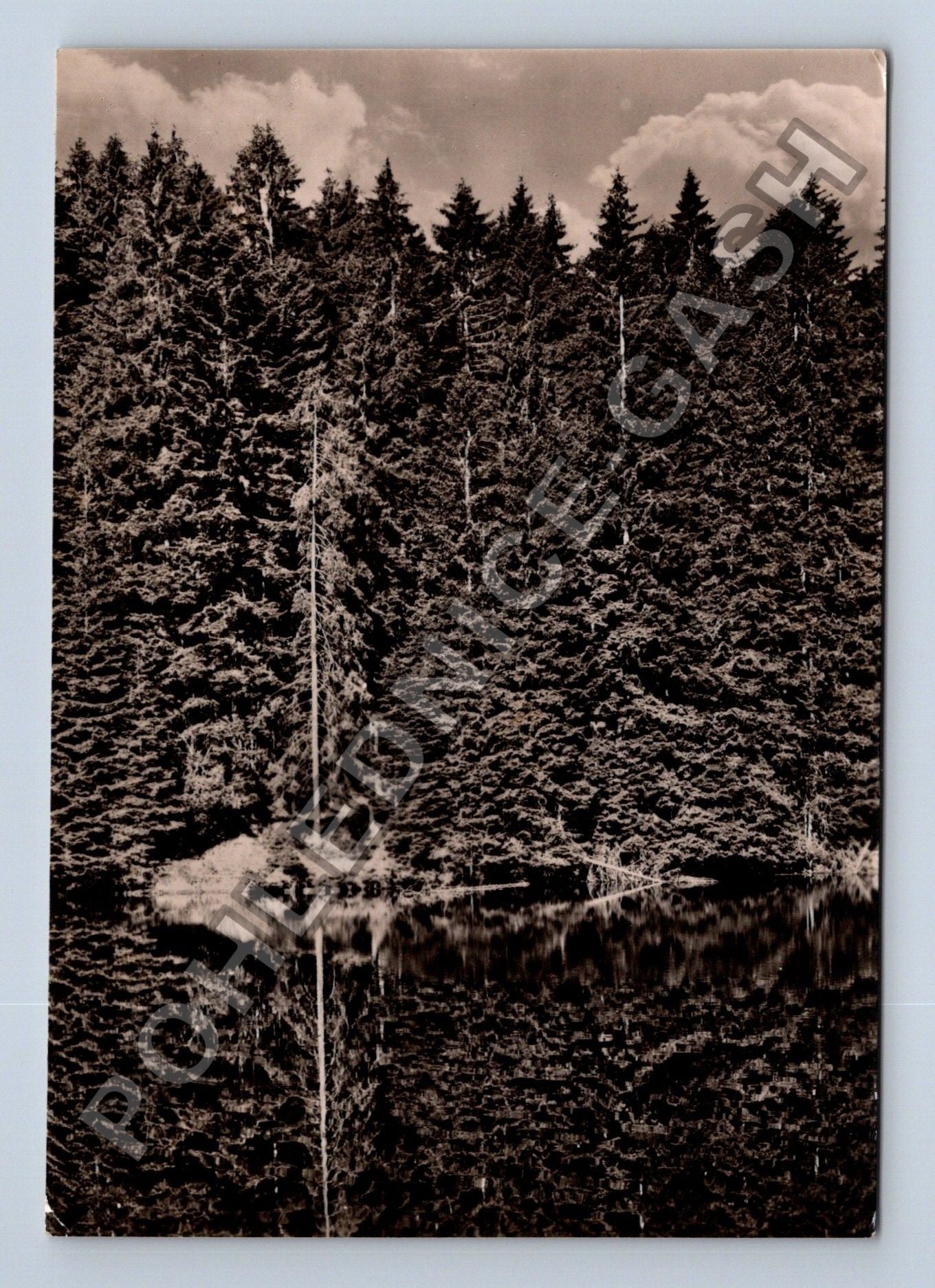 Pohlednice Šumava Boubínské jezero 1962 (M39033)