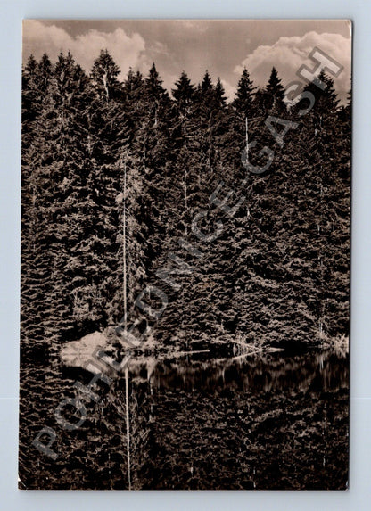 Pohlednice Šumava Boubínské jezero 1962 (M39033)