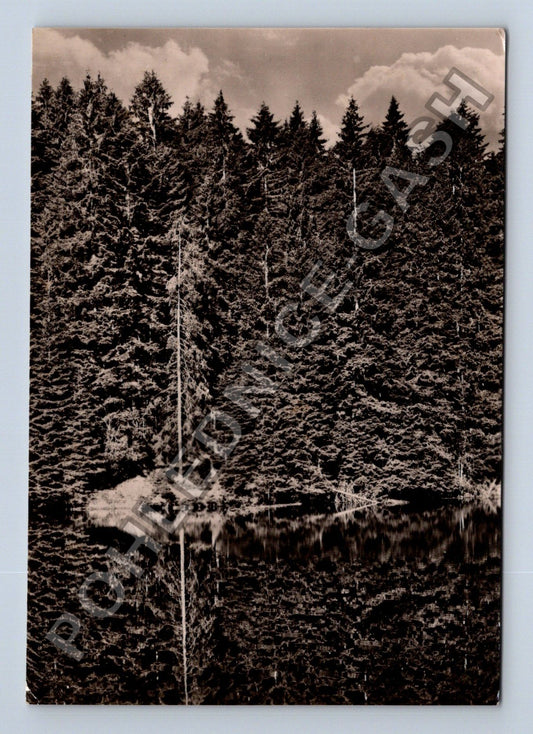 Pohlednice Šumava Boubínské jezero 1962 (M39033)