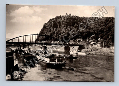 Pohlednice Děčín Pastýřská stěna most Labe (M39043)