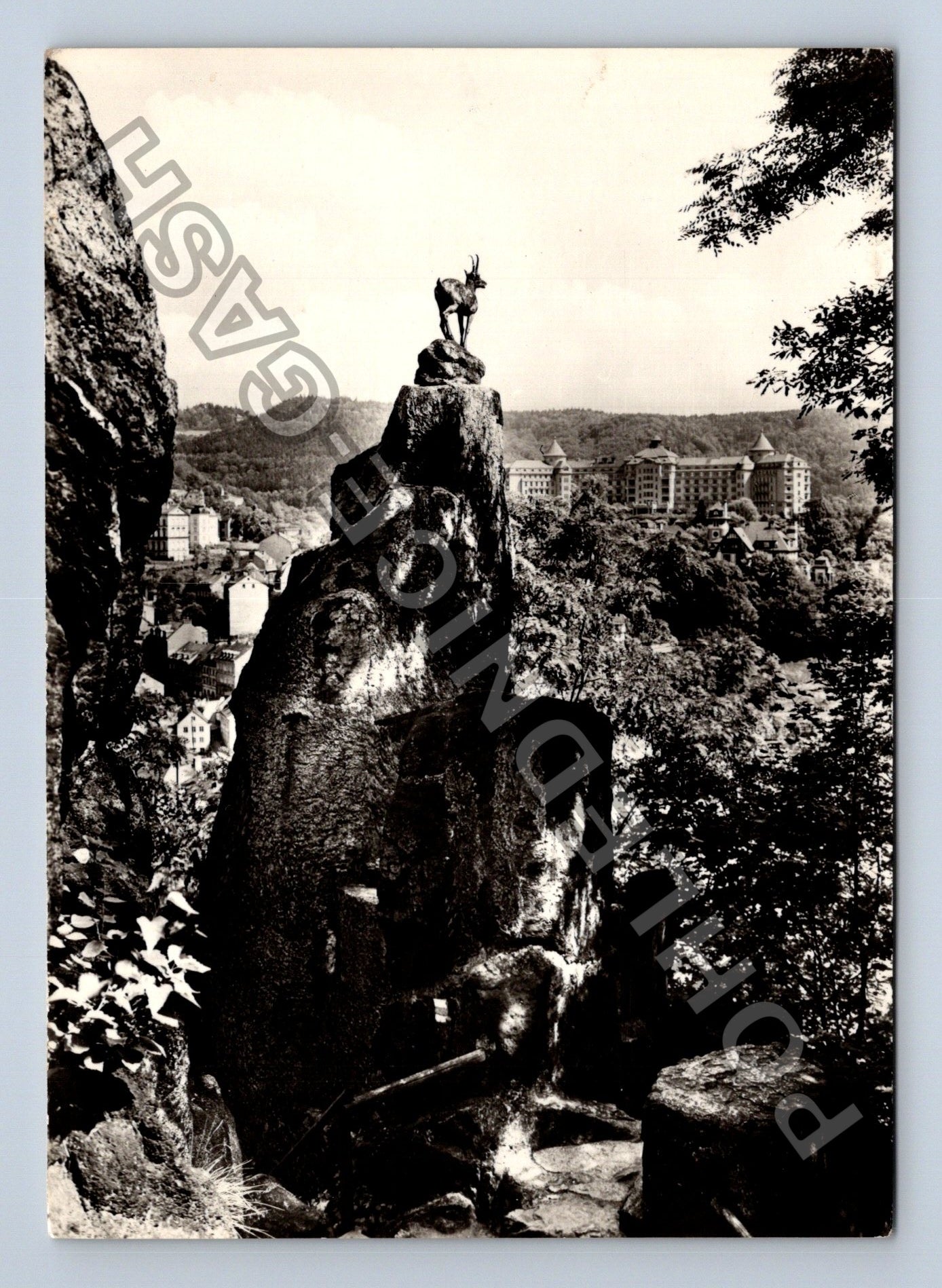 Pohlednice Karlovy Vary pohled s jeleního skoku na hotel (M39062)