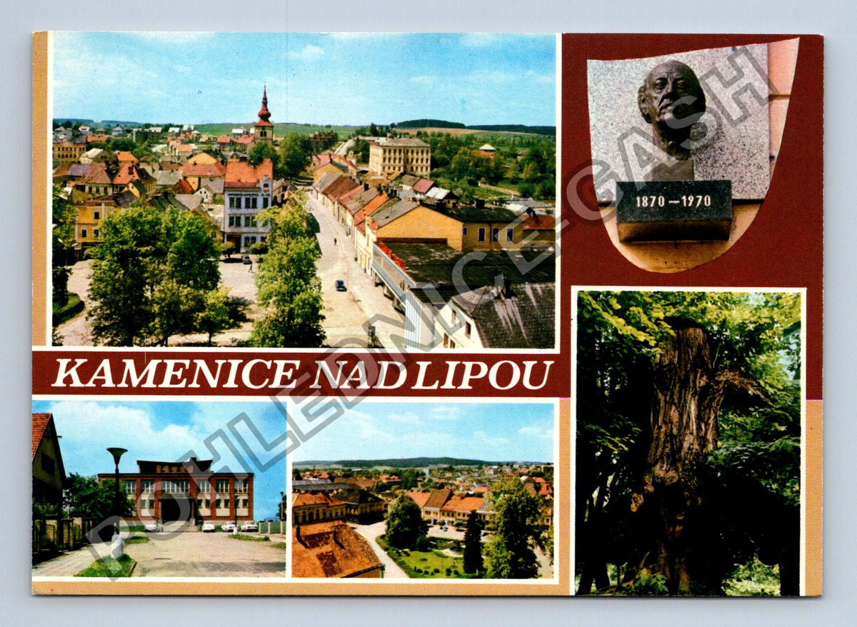 Pohlednice Kamenice nad Lipou náměstí busta strom (M39077)