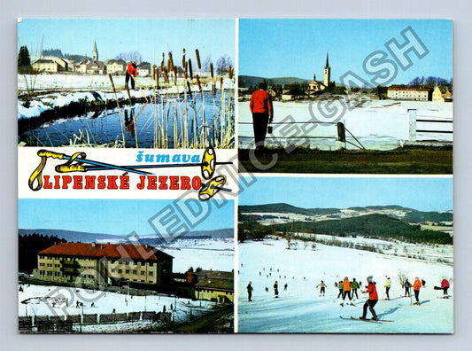 Pohlednice Šumava Lipenské jezero lyžování zimní krajina (M39099)