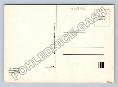 Pohlednice Vánoční pozdrav z Prahy borové jehličí sníh (M39142)