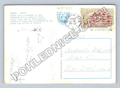 Pohlednice Praha Hrad s katedrálou sv Víta 1960 (M39153)