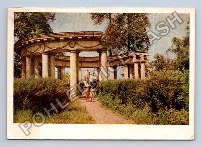 Pohlednice Rusko Pavlovsk Park Kolonáda Apollona 1955 (M39166)