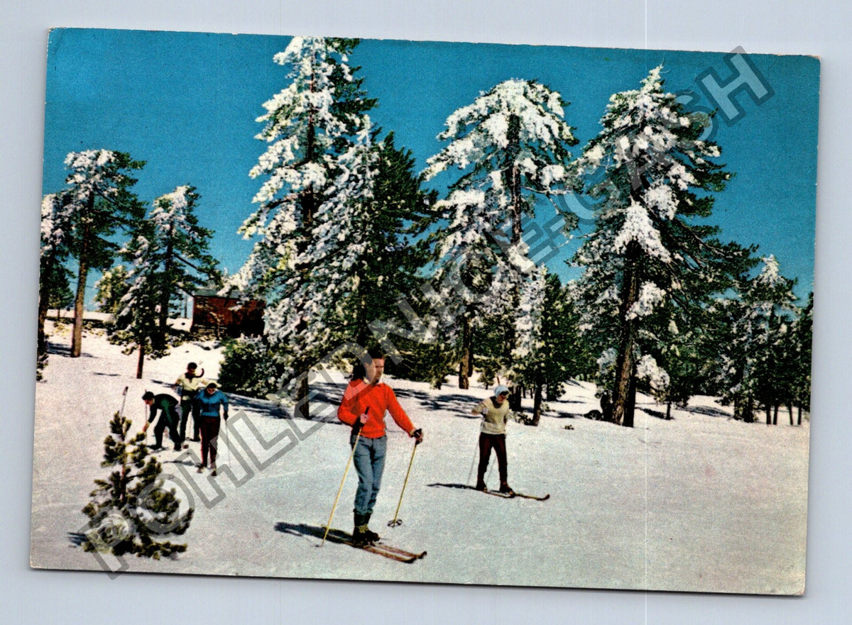 Pohlednice Kypr Troodos lyžování zimní krajina (M39179)