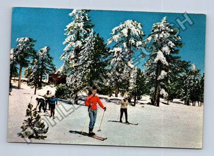 Pohlednice Kypr Troodos lyžování zimní krajina (M39179)