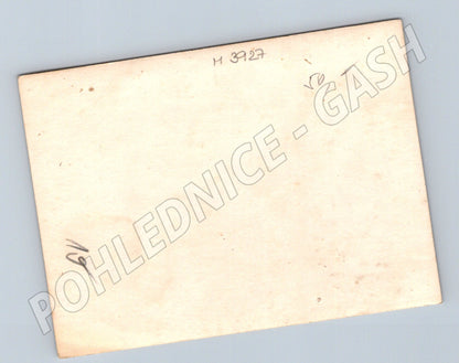 Pohlednice českoslovenští letci u letadla (M3927)