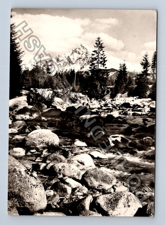 Pohlednice Slovensko Vysoké Tatry Pohled na Kriváň (M39352)