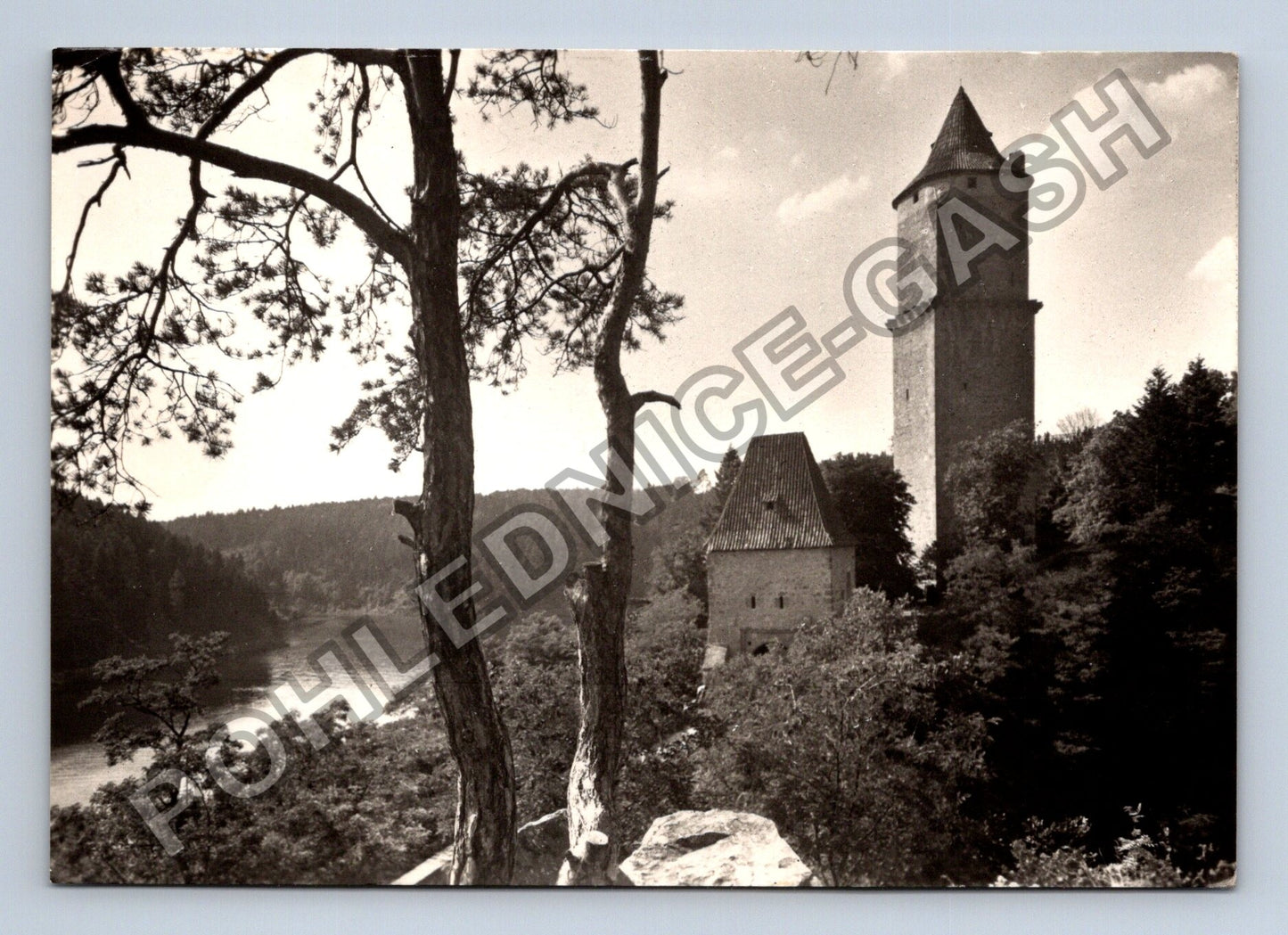 Pohlednice Zvíkov státní hrad (M39385)