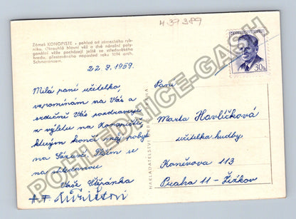 Pohlednice Konopiště zámek rybník 1959 (M39389)