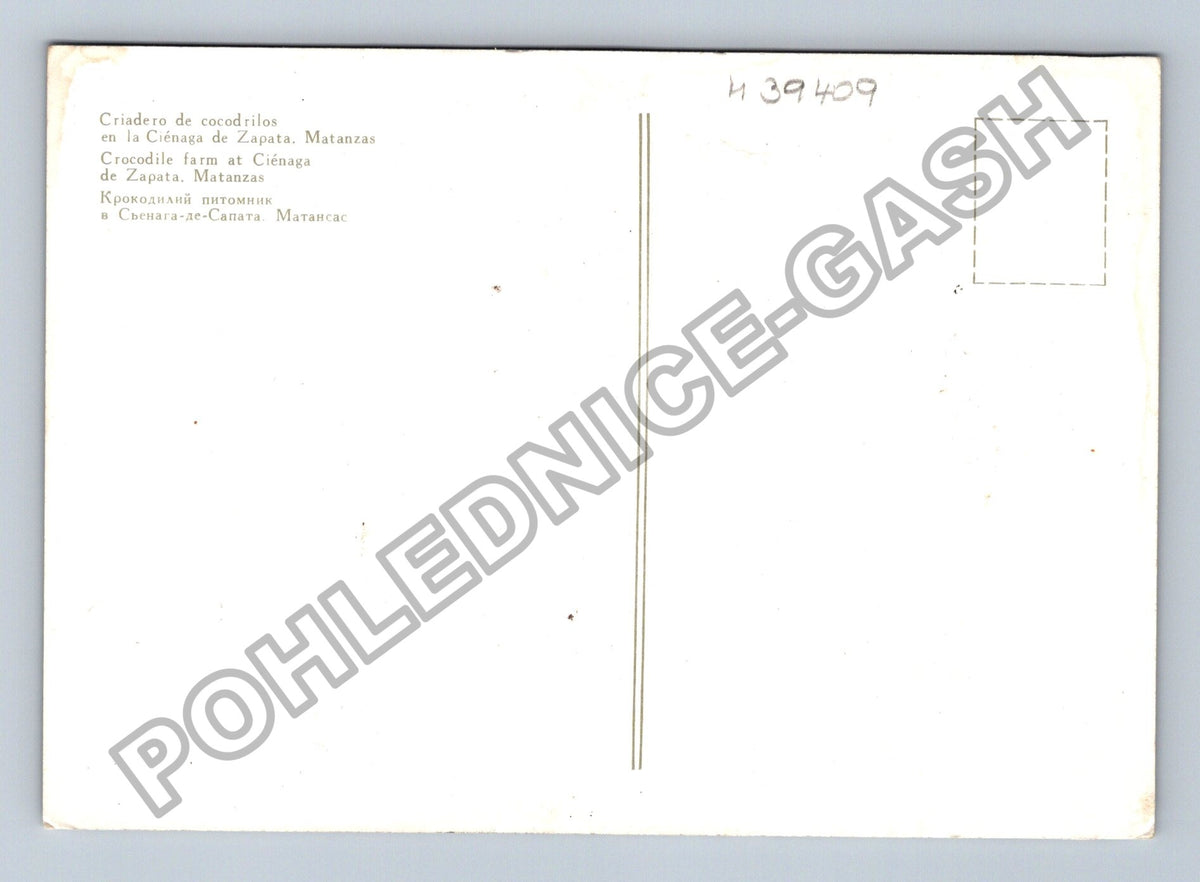 Pohlednice Kuba Chovná farma krokodýlů Ciénaga de Zapata (M39409)