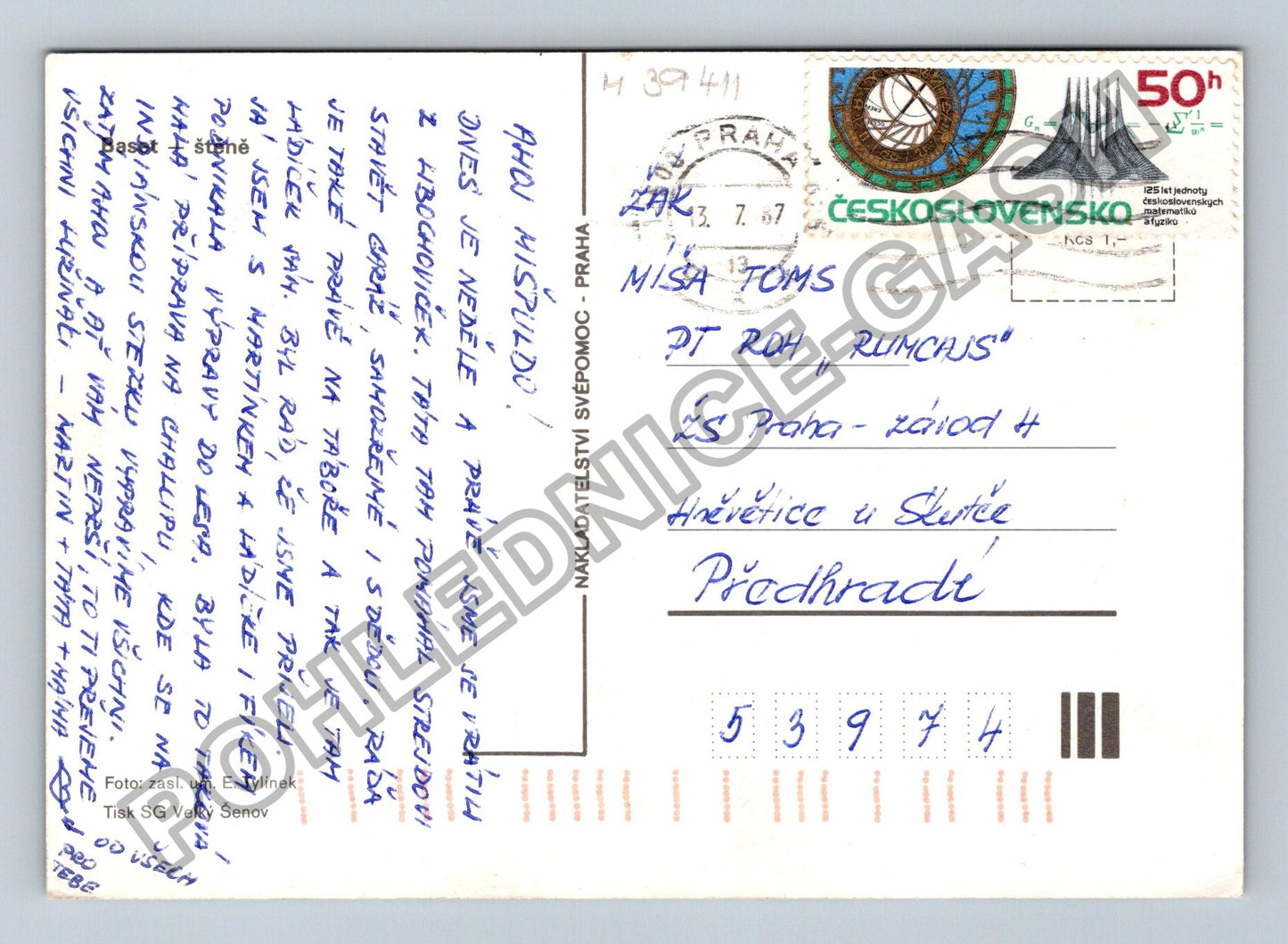 Pohlednice Basset Hound pes (M39411)