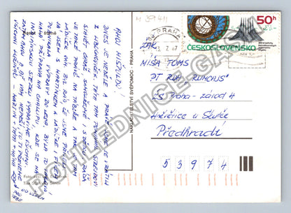 Pohlednice Basset Hound pes (M39411)