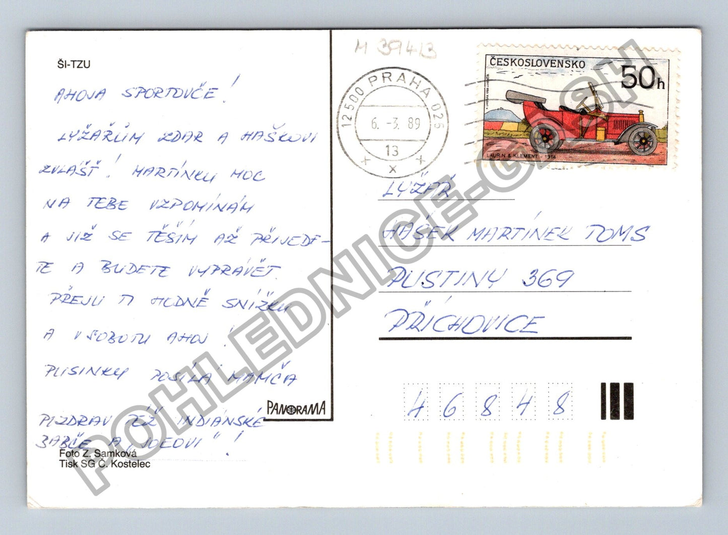 Pohlednice Ši-tzu psi na trávě 1989 (M39413)