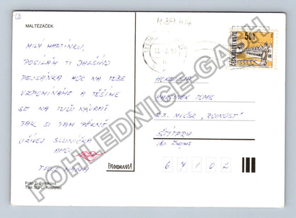 Pohlednice Maltézský psík se stuhou (M39414)