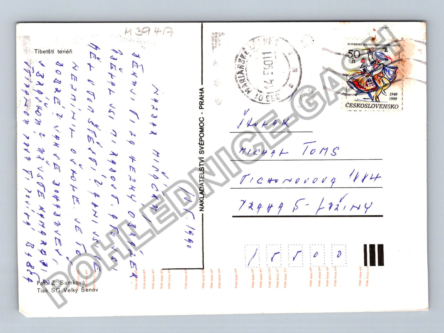 Pohlednice Pes v trávě Slovensko 1990 (M39417)