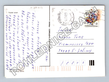 Pohlednice Pes v trávě Slovensko 1990 (M39417)