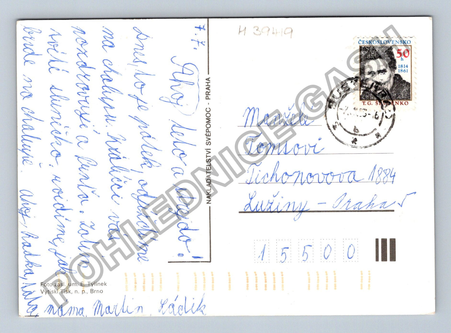 Pohlednice Afghánský chrt dlouhosrstý pes (M39419)