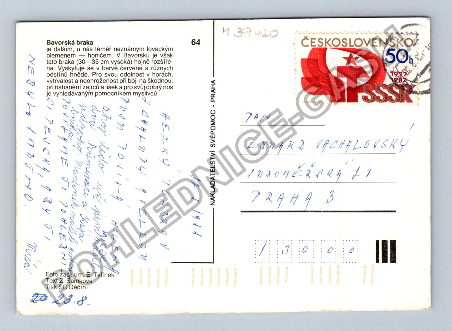 Pohlednice Bavorská braka štěně v trávě 1982 (M39420)