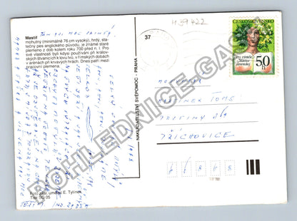 Pohlednice Mastif štěně pes (M39422)