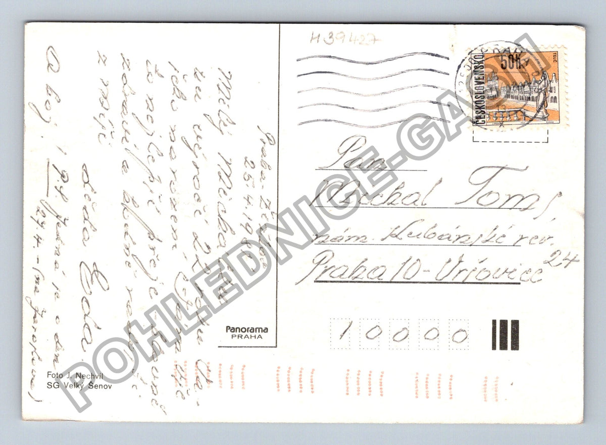Pohlednice květiny bílé lilie zelené pozadí (M39427)