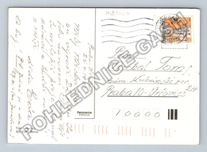 Pohlednice květiny bílé lilie zelené pozadí (M39427)