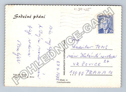 Pohlednice Bílá růže Srdcečné přání 1978 (M39435)