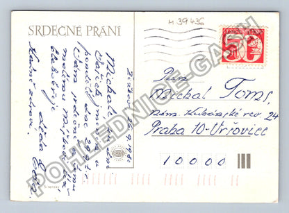 Pohlednice Kytice gerber (M39436)