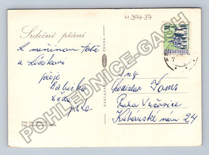 Pohlednice Košík květin Srdce přání Babicka (M39437)