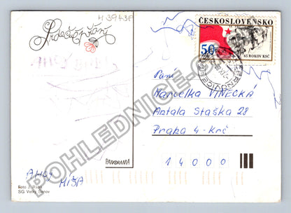 Pohlednice Kytice gerber a tulipánů (M39438)