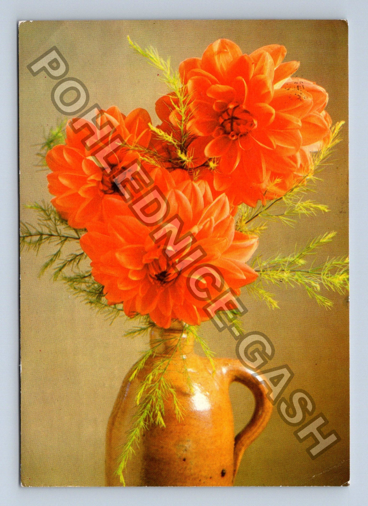 Pohlednice Zátiší s oranžovými jiřinami a džbánem (M39439)