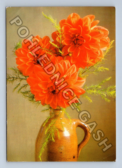 Pohlednice Zátiší s oranžovými jiřinami a džbánem (M39439)