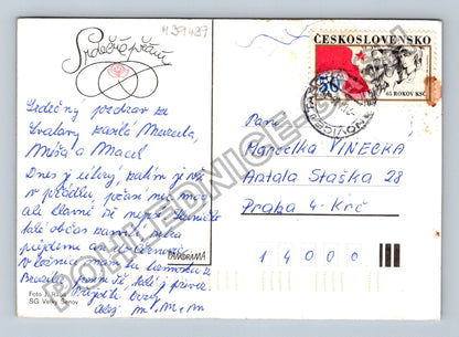 Pohlednice Zátiší s oranžovými jiřinami a džbánem (M39439)