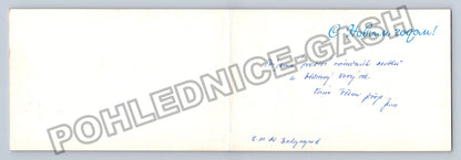 Pohlednice Rusko SSSR novoroční sněhuláci zajíc ptáček 1980 (M39449)